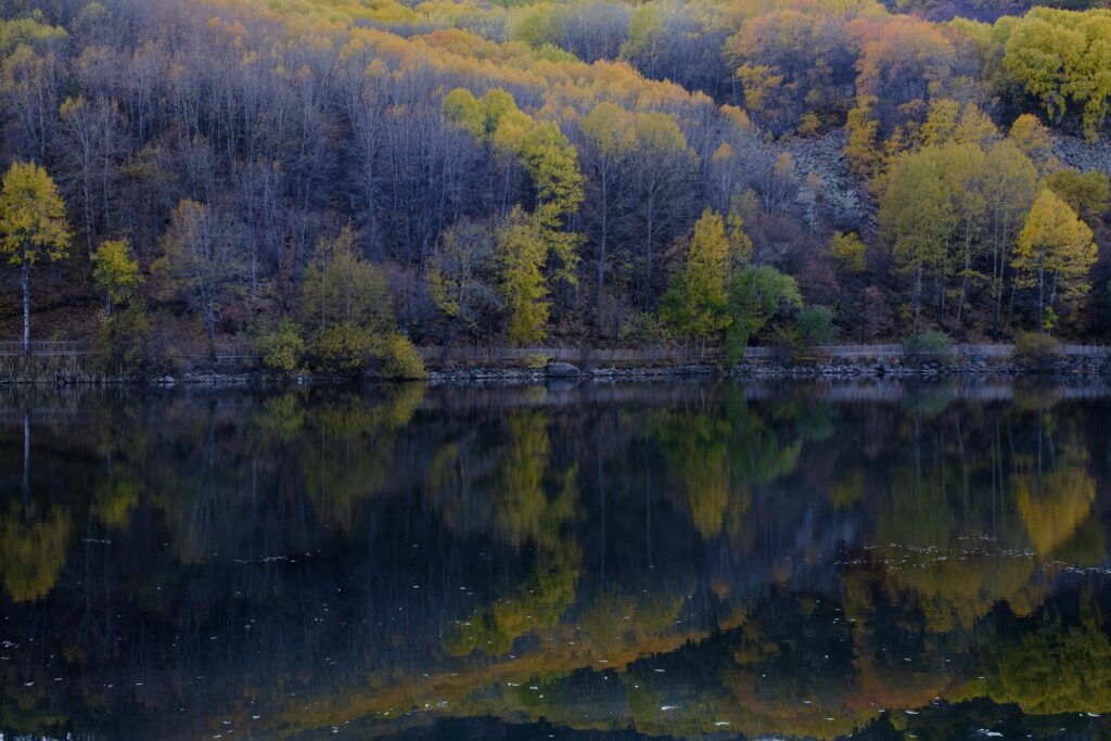 Tranquil autumn forest with vibrant foliage reflected in a still lake, showcasing nature's beauty.