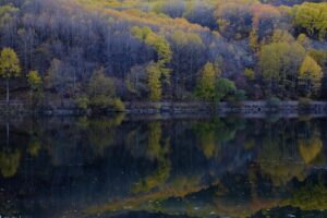 Tranquil autumn forest with vibrant foliage reflected in a still lake, showcasing nature's beauty.